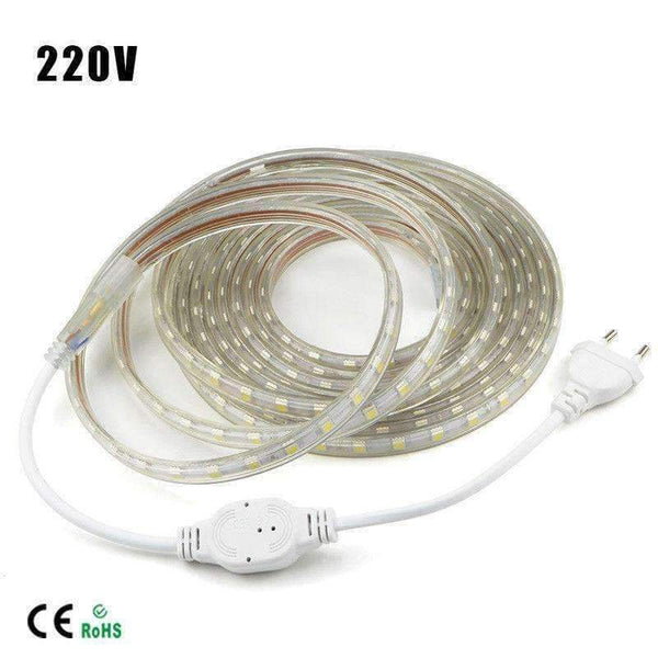 Planet Gates AC220V SMD 5050 Flexible LED Strip Light 60leds/m Waterproof LED Tape Light With Power Plug 1M/2M/3M/5M/6M/7M/8M/9M/10M/12M/20M