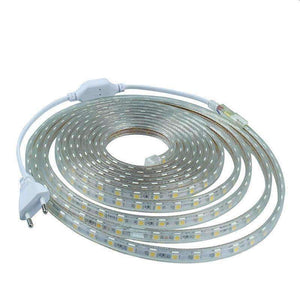 Planet Gates AC220V SMD 5050 Flexible LED Strip Light 60leds/m Waterproof LED Tape Light With Power Plug 1M/2M/3M/5M/6M/7M/8M/9M/10M/12M/20M