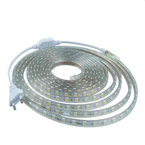 Planet Gates AC220V SMD 5050 Flexible LED Strip Light 60leds/m Waterproof LED Tape Light With Power Plug 1M/2M/3M/5M/6M/7M/8M/9M/10M/12M/20M