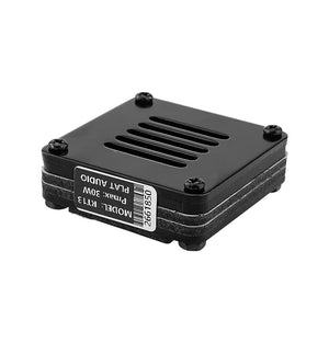Planet Gates AIYIMA 1Pc AMT Audio Car Tweeters Speaker Driver Ribbon Tweeter Air Motion Transformer Professional Planar Speaker Transducer
