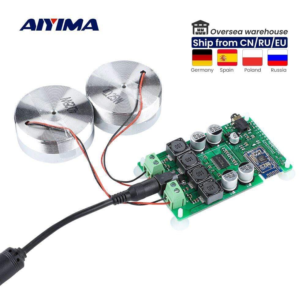Planet Gates AIYIMA 2 Inch Audio Portable 25W Resonance Vibration Speaker TPA3118 Bluetooth-compatible Power Amplifier Sound Speaker DC12V5A