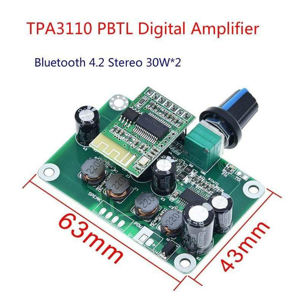 Planet Gates AIYIMA 2 Inch Audio Portable 25W Resonance Vibration Speaker TPA3118 Bluetooth-compatible Power Amplifier Sound Speaker DC12V5A