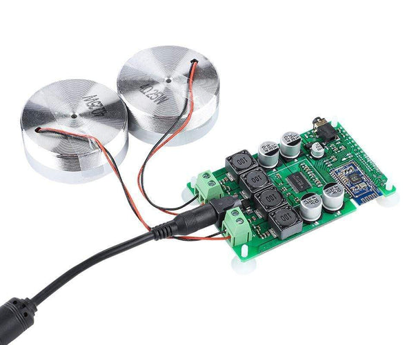 Planet Gates AIYIMA 2 Inch Audio Portable 25W Resonance Vibration Speaker TPA3118 Bluetooth-compatible Power Amplifier Sound Speaker DC12V5A