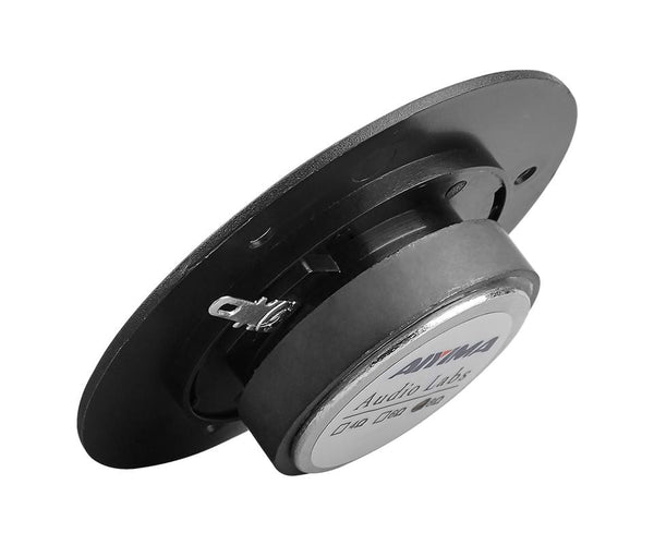 Planet Gates AIYIMA 2Pcs 3Inch Audio Speaker Driver 8 Ohm 10W Speakers Louderspeaker Tweeter Treble for Stereo Sound Box DIY Audiophile