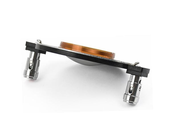 Planet Gates AIYIMA 2Pcs Audio Tweeter Driver Speakers Professional Titanium Film 25/34/44/51 Core Treble Voice Coil DIY Speakers Accessory