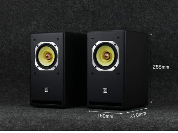 Planet Gates AIYIMA 4 Inch Audio Full Range Speaker Driver 25W Mid Frequency HIFI Sound Amplifier Speaker Unit For Home Theater Loudspeaker