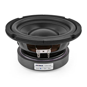 Planet Gates AIYIMA 6.5 Inch Subwoofer Speaker Driver Car Audio High Power 4 8 Ohm 100W HIFI Fever Woofer Loudspeaker Bass Home Theater