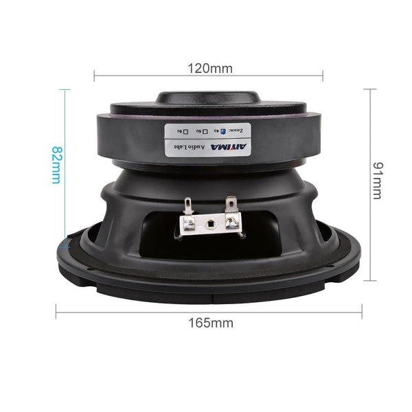 Planet Gates AIYIMA 6.5 Inch Subwoofer Speaker Driver Car Audio High Power 4 8 Ohm 100W HIFI Fever Woofer Loudspeaker Bass Home Theater