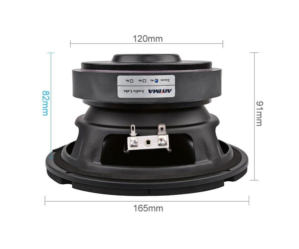 Planet Gates AIYIMA 6.5 Inch Subwoofer Speaker Driver Car Audio High Power 4 8 Ohm 100W HIFI Fever Woofer Loudspeaker Bass Home Theater