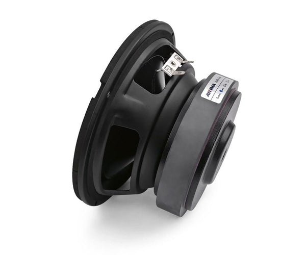 Planet Gates AIYIMA 6.5 Inch Subwoofer Speaker Driver Car Audio High Power 4 8 Ohm 100W HIFI Fever Woofer Loudspeaker Bass Home Theater