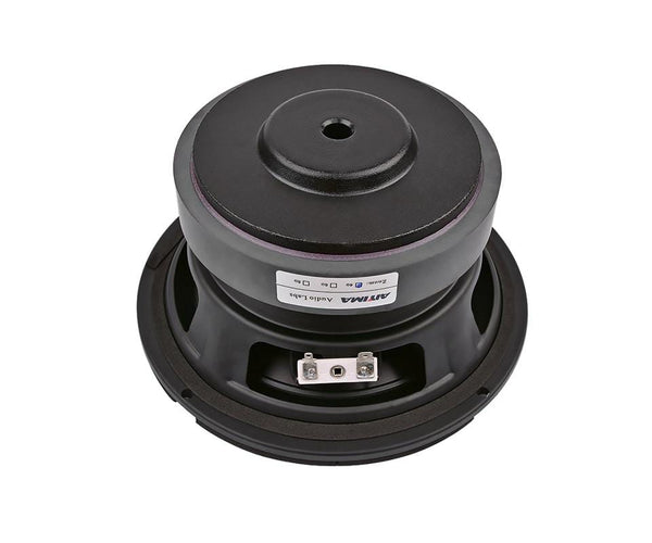 Planet Gates AIYIMA 6.5 Inch Subwoofer Speaker Driver Car Audio High Power 4 8 Ohm 100W HIFI Fever Woofer Loudspeaker Bass Home Theater