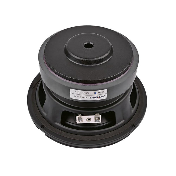 Planet Gates AIYIMA 6.5 Inch Subwoofer Speaker Driver Car Audio High Power 4 8 Ohm 100W HIFI Fever Woofer Loudspeaker Bass Home Theater