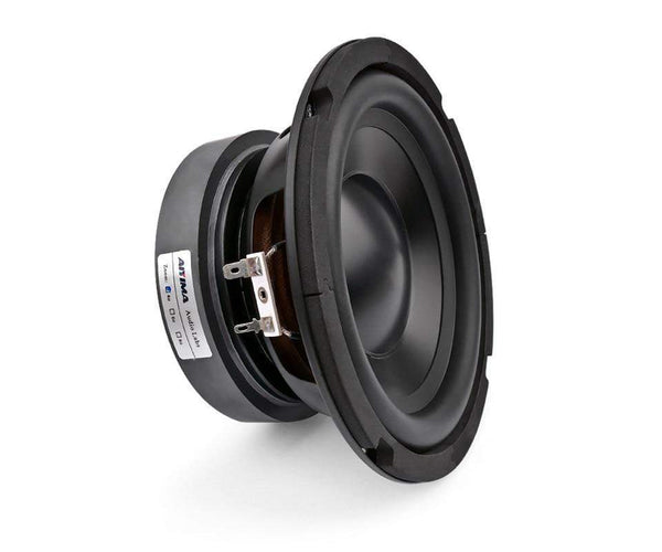 Planet Gates AIYIMA 6.5 Inch Subwoofer Speaker Driver Car Audio High Power 4 8 Ohm 100W HIFI Fever Woofer Loudspeaker Bass Home Theater