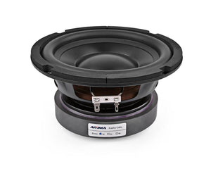 Planet Gates AIYIMA 6.5 Inch Subwoofer Speaker Driver Car Audio High Power 4 8 Ohm 100W HIFI Fever Woofer Loudspeaker Bass Home Theater