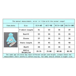 Planet Gates as photo / 18M Baby Autumn new baby boy clothes Children Baby Girls Long Sleeve Hooded Tops Floral pants 2 pcs. clothing set SY188