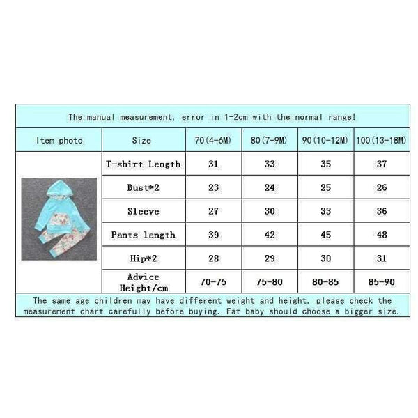 Planet Gates as photo / 18M Baby Autumn new baby boy clothes Children Baby Girls Long Sleeve Hooded Tops Floral pants 2 pcs. clothing set SY188