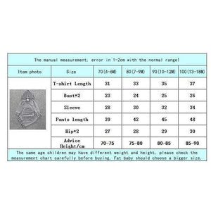 Planet Gates as photo / 18M Baby Autumn new baby boy clothes Children Baby Girls Long Sleeve Hooded Tops Floral pants 2 pcs. clothing set SY188