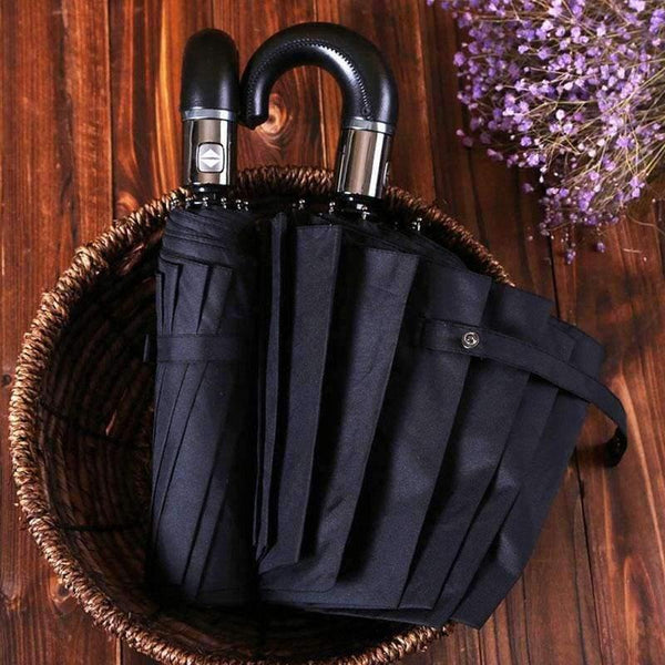 Planet Gates B / China English style Umbrella Men Automatic 10Ribs Strong WindResistant 3 Folding Umbrella Rain Business Male Quality Parasol