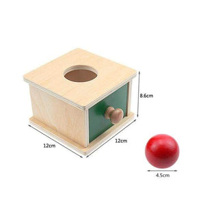 Planet Gates Ball Box Montessori Materials Match Box Ball Box Coin Box Piggy Bank Set Toys for Toddler Solid Wood Infant Basic Life Skill Toy 8-24 Mon