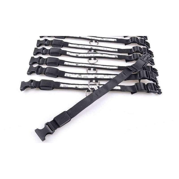 Planet Gates Battery Blue / S Dog Collar Nylon Creative Printing Style Night Lighting LED Flashing Growing Pet Dog Necklace Collar Luminous Pet Products