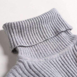 Planet Gates Beige / One Size Turtleneck Warm Women Sweater Autumn Winter Knitted Femme Pull High Elasticity Soft Female Pullovers Sweater Jumper