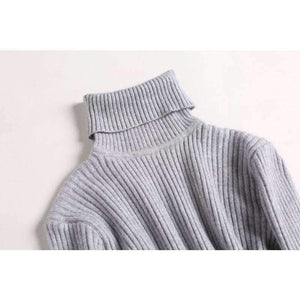 Planet Gates Beige / One Size Turtleneck Warm Women Sweater Autumn Winter Knitted Femme Pull High Elasticity Soft Female Pullovers Sweater Jumper