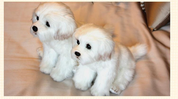 Planet Gates Bichon Frise Puppy Stuffed Animal Dog Plush Toy Cute Simulation Pets Fluffy Baby Dolls Birthday Gifts for Children Dropshipping