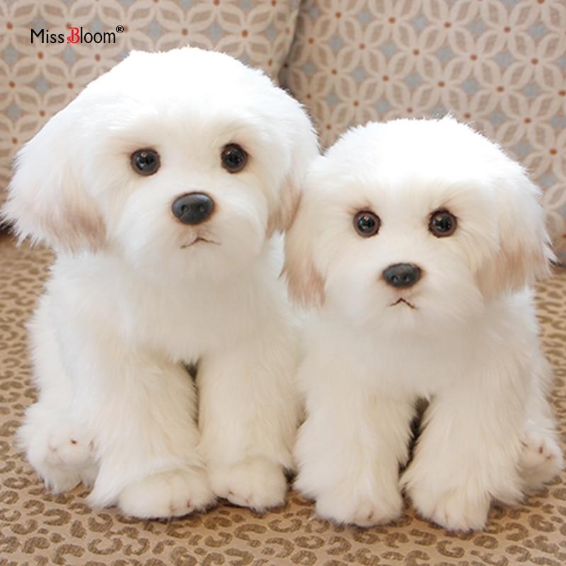 Planet Gates Bichon Frise Puppy Stuffed Animal Dog Plush Toy Cute Simulation Pets Fluffy Baby Dolls Birthday Gifts for Children Dropshipping