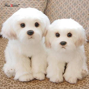 Planet Gates Bichon Frise Puppy Stuffed Animal Dog Plush Toy Cute Simulation Pets Fluffy Baby Dolls Birthday Gifts for Children Dropshipping