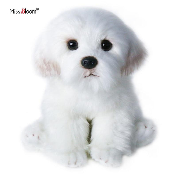 Planet Gates Bichon Frise Puppy Stuffed Animal Dog Plush Toy Cute Simulation Pets Fluffy Baby Dolls Birthday Gifts for Children Dropshipping
