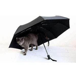 Planet Gates black 8ribs / China Ultralight Umbrella Rain Women Automatic Folding Men Umbrellas Lady Folding Since The Open Close Paraguas 8k 10k