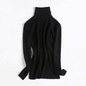 Planet Gates Black / One Size Turtleneck Warm Women Sweater Autumn Winter Knitted Femme Pull High Elasticity Soft Female Pullovers Sweater Jumper