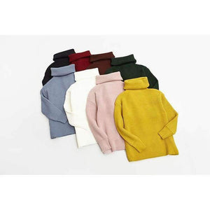 Planet Gates Black / One Size Winter Knitted Sweaters Women Fashion Turtleneck Pullover Sweater Female Casual All-match Jumper 8 Colors