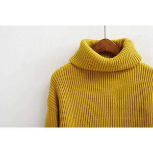 Planet Gates Black / One Size Winter Knitted Sweaters Women Fashion Turtleneck Pullover Sweater Female Casual All-match Jumper 8 Colors