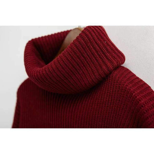 Planet Gates Black / One Size Winter Knitted Sweaters Women Fashion Turtleneck Pullover Sweater Female Casual All-match Jumper 8 Colors