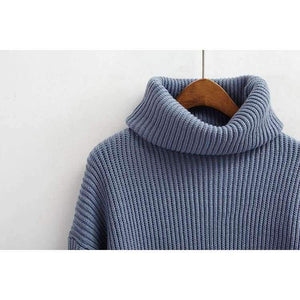 Planet Gates Black / One Size Winter Knitted Sweaters Women Fashion Turtleneck Pullover Sweater Female Casual All-match Jumper 8 Colors