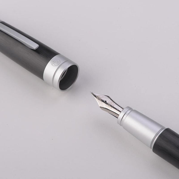 Planet Gates Black Picasso Iraurita Fountain pen 0.5mm ink pens best gift 1072