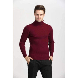 Planet Gates Black / S COODRONY Winter Thick Warm Cashmere Sweater Men Turtleneck Mens Sweaters Slim Fit Pullover Men Classic Wool Knitwear Pull Homme