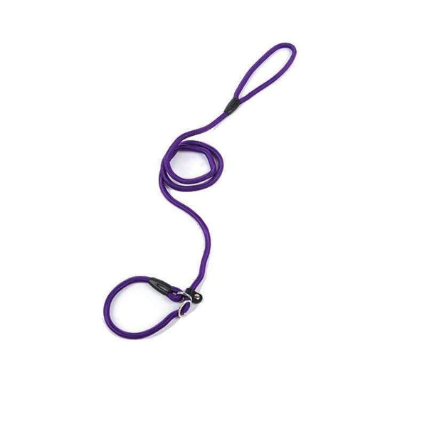 Planet Gates Black / S Pet Products Golden Teddy Dog Traction Rope Chain Large Dog Collar P Dog Leash Comfortable Nylon Material 5Colors