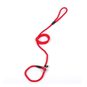 Planet Gates Black / S Pet Products Golden Teddy Dog Traction Rope Chain Large Dog Collar P Dog Leash Comfortable Nylon Material 5Colors