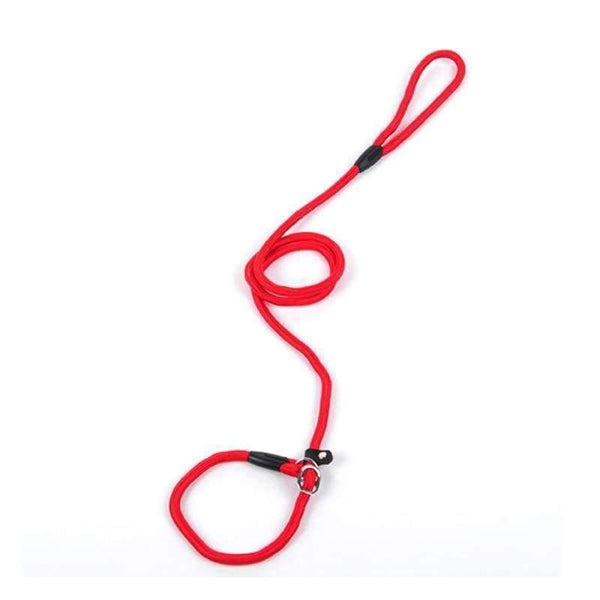 Planet Gates Black / S Pet Products Golden Teddy Dog Traction Rope Chain Large Dog Collar P Dog Leash Comfortable Nylon Material 5Colors