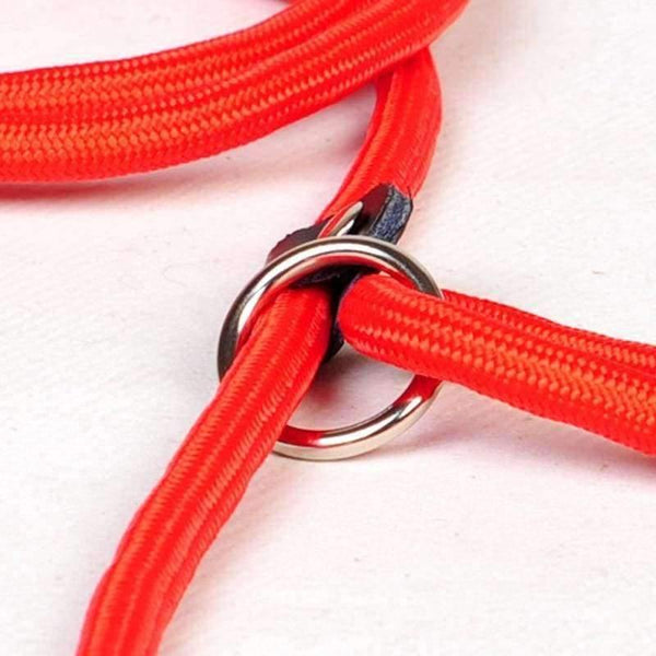 Planet Gates Black / S Pet Products Golden Teddy Dog Traction Rope Chain Large Dog Collar P Dog Leash Comfortable Nylon Material 5Colors