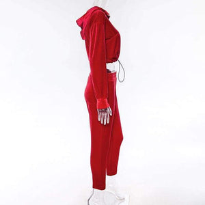 Planet Gates Black / S velvet long sleeve hooded loose crop tops pants 2 pieces sets 2018 autumn winter women fashion sexy casual hoodies set
