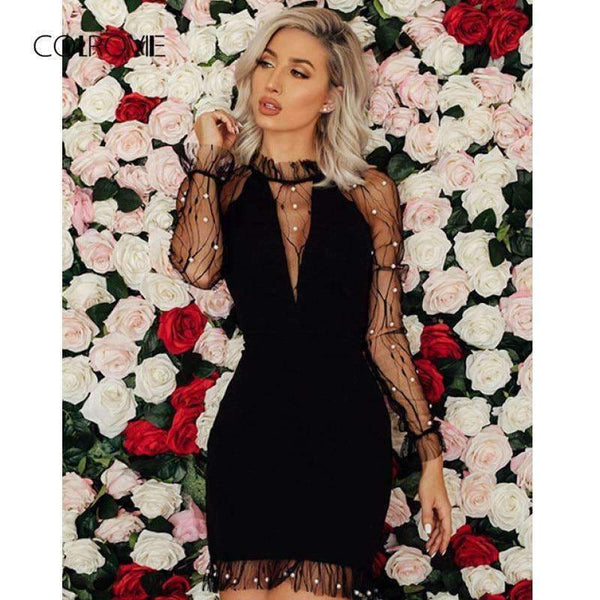Planet Gates Black / XS Black Pearl Beading Vine Mesh Panel Dress Women Ruffle Round Neck Long Sleeve Sexy Dress 2018 Party Bodycon Dress