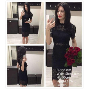 Planet Gates Black / XS Party Dress Black Stand Collar Short Sleeve Plain Eyelash Lace Dress Women Elegant Scallop Trim Midi Dress