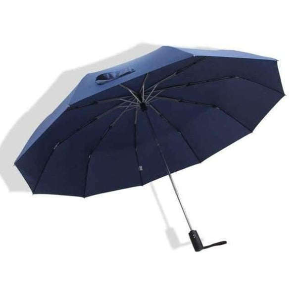Planet Gates Blue 125cm Automatic Umbrella Men Rain Women 3Folding Windproof Large Paraguas Male Woman Big Umbrella Outdoor Parapluie