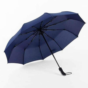 Planet Gates Blue / China Fully-automatic Three Folding Male Commercial Compact Large Strong Frame Windproof 10Ribs Gentle Black Umbrellas