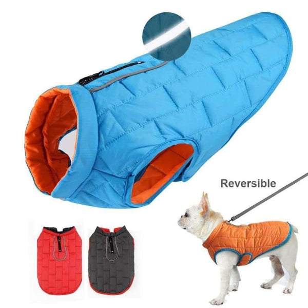Planet Gates Blue / L Clothes French Dog Jacket Winter Pet Clothing Waterproof Reflective Coat ropa para perro For Small Medium Large Big Dogs