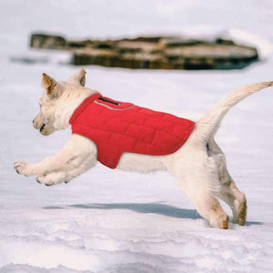 Planet Gates Blue / L Clothes French Dog Jacket Winter Pet Clothing Waterproof Reflective Coat ropa para perro For Small Medium Large Big Dogs