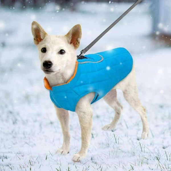 Planet Gates Blue / L Clothes French Dog Jacket Winter Pet Clothing Waterproof Reflective Coat ropa para perro For Small Medium Large Big Dogs